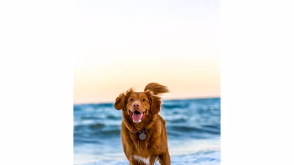Representative Image (Photo/Unsplash)