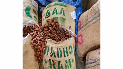 Seized items (Photo/PIB)