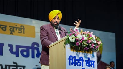 Punjab Chief Minister Bhagwant Mann (FilePhoto/ANI)