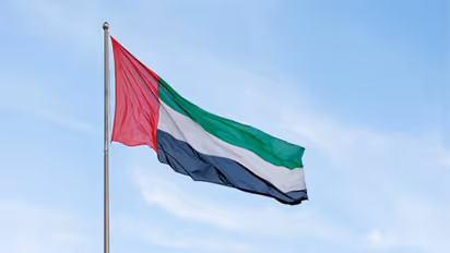 Representative Image (File Photo/X@UAEembassyIndia)