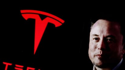 Tesla Stock Extends Winning Streak To 5 Days: Retail’s Feeling More Bullish While Cathie Wood Predicts $2,600 Target