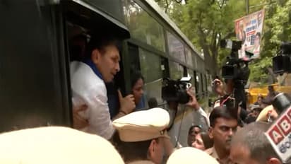 MP Congress President Jitu Patwari (Photo/ANI)