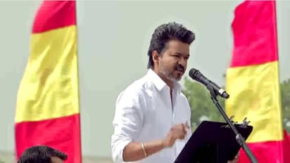 Tamilaga Vettri Kazhagam (TVK) President Vijay (Photo/ANI)