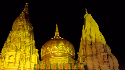 Kashi Vishwanath temple (File Photo/Shri Kashi Vishwanath Mandir)