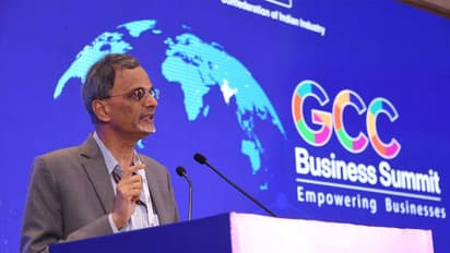 V Anantha Nageshwaran, Chief Economic Advisor (CEA) to the Government of India (Photo/CII)
