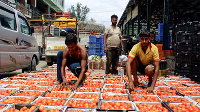 Lower prices of vegetables and pulses also contributed to the decline of non-vegetarian thali prices. (File Photo/ANI)