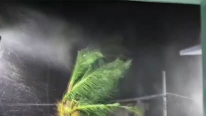 Visuals of strong winds triggered by Cyclone Arnab in Amalapuram, Andhra Pradesh (File Photo/I&PR)
