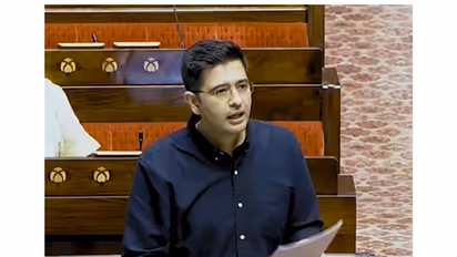 BJP MP Raghav Chadha (Photo/Sansad Tv)