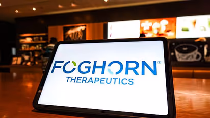https://stocktwits.com/news-articles/markets/equity/fhtx-stock-on-track-for-record-low-why-did-foghorn-and-lilly-pull-the-plug-on-cancer-drug/cZD030MRBis
