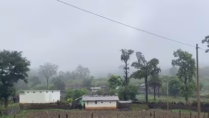 Naxal-affected families return to Bastar (Photo/ANI)