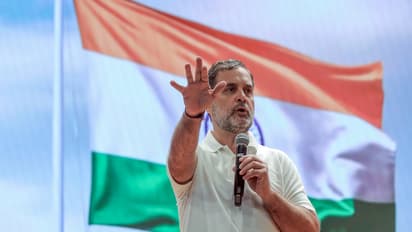 Congress leader Rahul Gandhi (Photo/ANI)