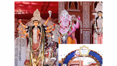 Nexus Select Citywalk durga puja pandal (Photo/ANI)
