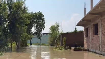 Floodwater inundates villages in Bagaha as Gandak river rises (Photo/ANI)