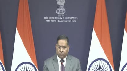 MEA Spokesperson Randhir Jaiswal (Photo/MEAYoutube)