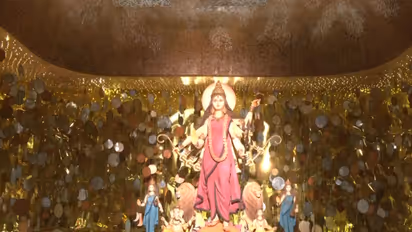 Durga Pandal by Ultadanga Bidhan Sangha (Photo/ANI)