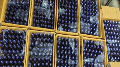 NCB busts interstate drug trafficking network (Photo/NCB Mumbai)