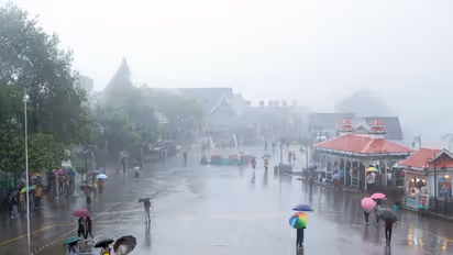 People using umbrella to walk in the rain in Shimla (Photo/ANI)