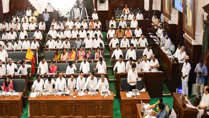 Tamil Nadu Chief Minister C Joseph Vijay (File Photo:TN Assembly)