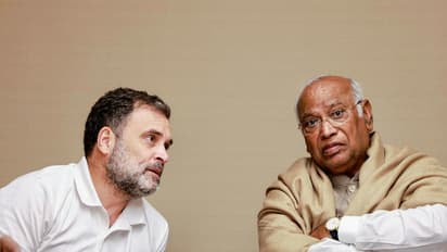 Lok Sabha LoP Rahul Gandhi and Congress President Mallikarjun Kharge (Photo/ANI)