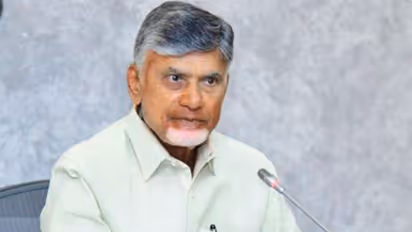Andhra Pradesh CM N Chandrababu Naidu (File Photo/ANI)