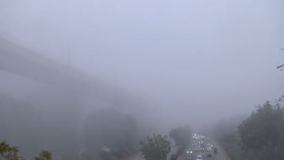 Visual from Dhaula Kuan (Photo/ANI)