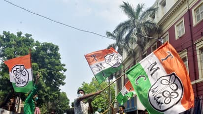 TMC supporters wave party flag in Kolkata (File Photo/ANI)