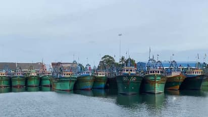 Fishing boats in Thoothukudi Fishing Harbour (Photo/ANI)