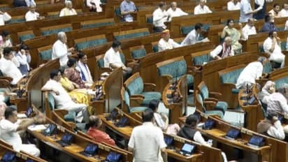 Visual from Lok Sabha (File Photo/Sansad TV)