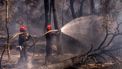Firefighters extinguishing wildfires (Photo/X/@@EmmanuelMacron)