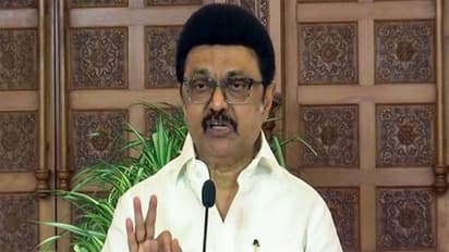 Tamil Nadu CM MK Stalin (Photo/ANI)