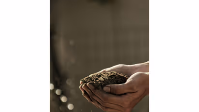 Representative Image (Photo/unsplash)