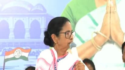 West Bengal CM Mamata Banerjee (Photo/Mamata Banerjee's social media)