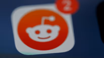 https://stocktwits.com/news-articles/markets/equity/rddt-stock-on-track-for-worst-single-day-drop-ever-analysts-cut-targets-over-google-search-traffic-concerns/cZUhuxvR9TV