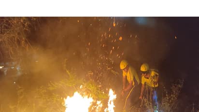 Visuals of the forest fire (Photo/SDRF)