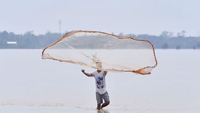 Representational Image (Photo/ANI)