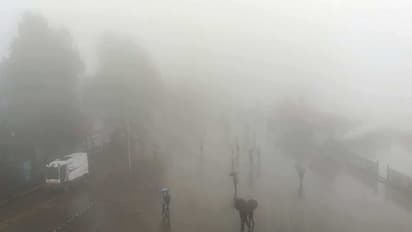 Heavy rainfall lashes several parts of Himachal Pradesh (Photo/ANI)