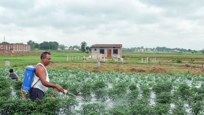 Representative Image (File Photo/ANI)