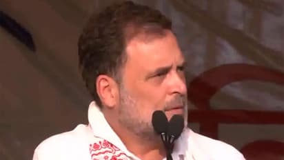 Congress leader Rahul Gandhi (Photo/ANI)