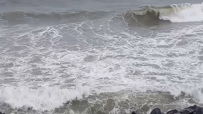 A coast in Puducherry (Photo/ANI)