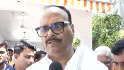 UP Deputy CM Brajesh Pathak (Photo/ANI)