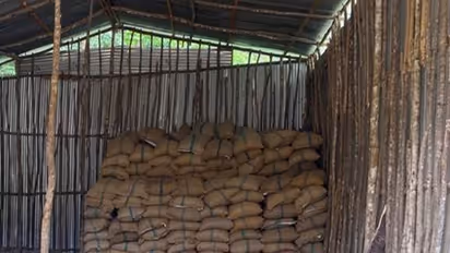 DRI seizes 60,000 kg smuggled areca nuts (Photo/PIB)