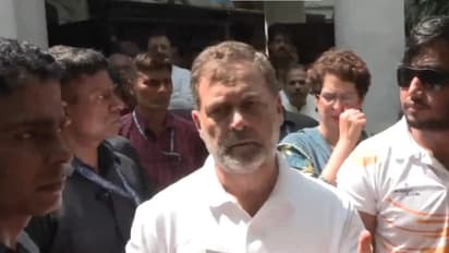 Congress leader Rahul Gandhi (Photo/ANI)