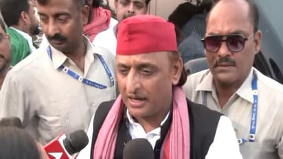 SP Chief Akhilesh Yadav. (Photo/ANI)