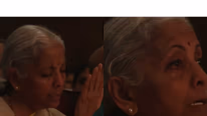 Nirmala Sitharaman (Photos/ANI)