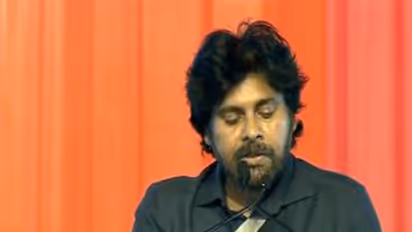 Andhra Pradesh Deputy Chief Minister Pawan Kalyan (Photo/DD)