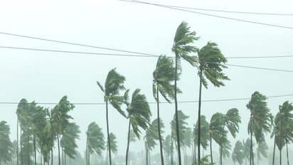 Cyclone Arnab brings fierce winds and heavy rain to Machilipatnam, Andhra Pradesh (Photo/ANI)