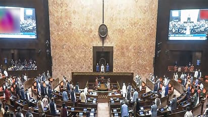 Visual from Lok Sabha (Photo/SansadTV)