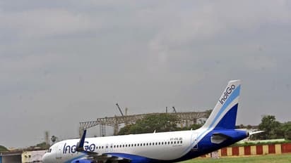 Representative image (Photo/ANI)