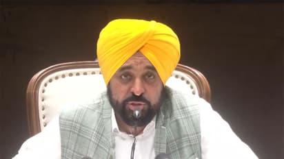 Punjab CM Bhagwant Singh Mann (Photo/ANI)