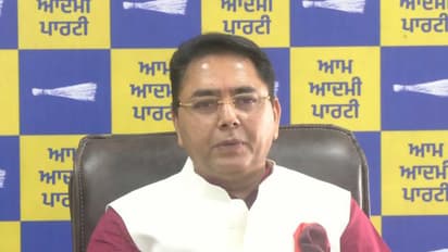 Punjab Cabinet Minister Aman Arora (Photo/ANI)